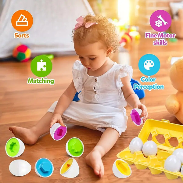 🐣Kids Eggs Toy || Educational Color Sorting Toys