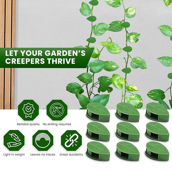 🌱Plant Climbing Wall Fixture Clips || Plant Support Clips🌿 BUY 30 & GET 30 FREE || 60 PCS