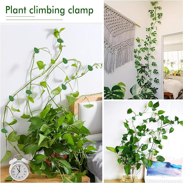 🌱Plant Climbing Wall Fixture Clips || Plant Support Clips🌿 BUY 30 & GET 30 FREE || 60 PCS