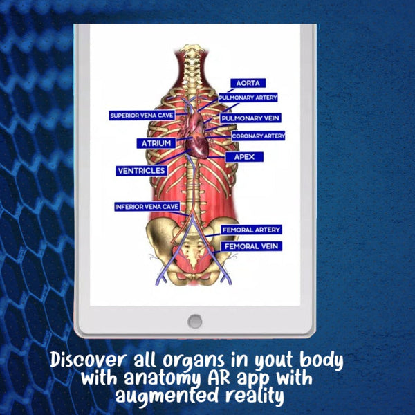 ✨Educational Anatomy AR 4D -Virtual T-Shirt