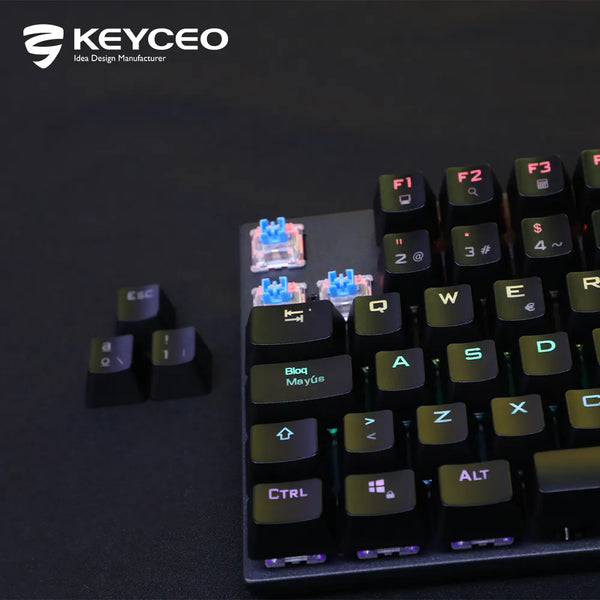 2023 TKL standard mechanical gaming with light gaming wired led gamer mechanical backlight