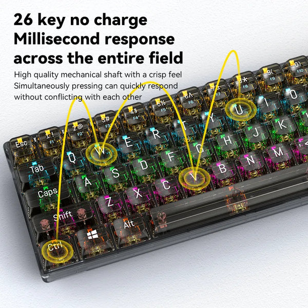 68 Keys Computer RGB Blacklight Type-C Wired Mechanical Transparent Gaming