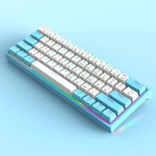 Manufacturer customs 61 keys TYPE-C mechanical with RGB backlight klavye teclado mechanical gaming for desktop