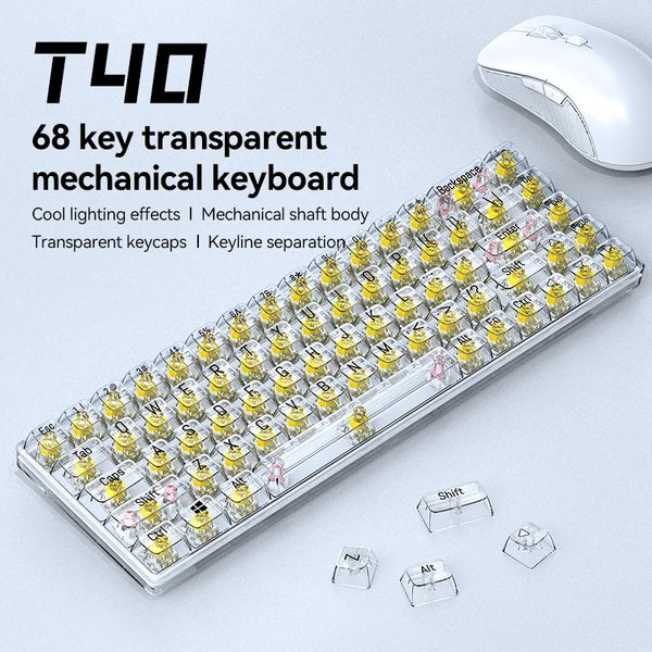 68 Keys Computer RGB Blacklight Type-C Wired Mechanical Transparent Gaming