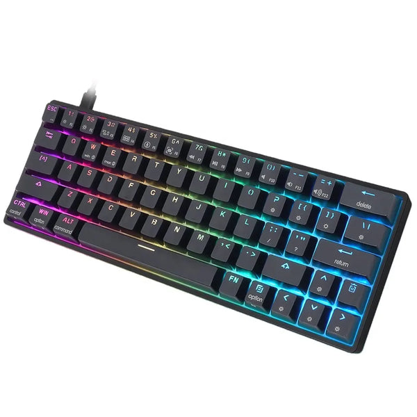 Amazon Hot sell SKYLOONG GK61 61keys RGB Wired gaming mechanical