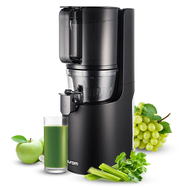 Hurom H200 Easy Series Cold Press Juicer